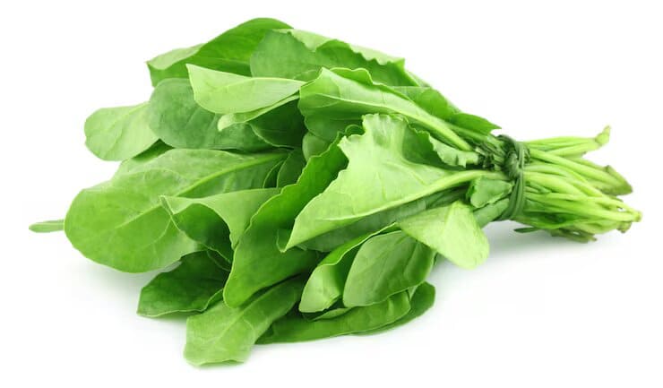 Spinach