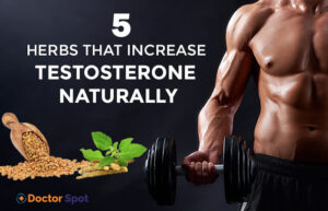 5 Herbs that Increase Testosterone Naturally