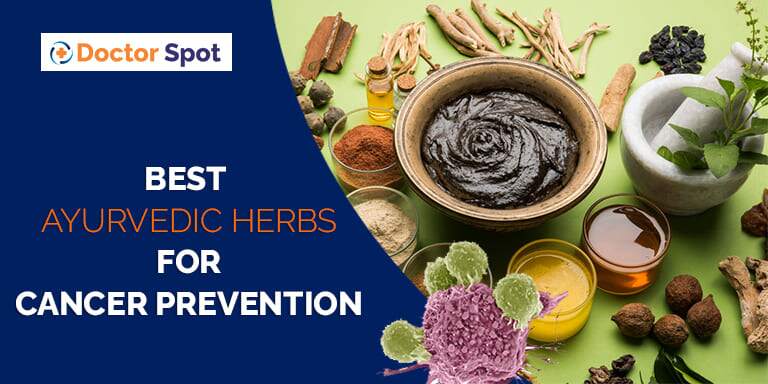 Best Ayurvedic Herbs for Cancer Prevention (1)