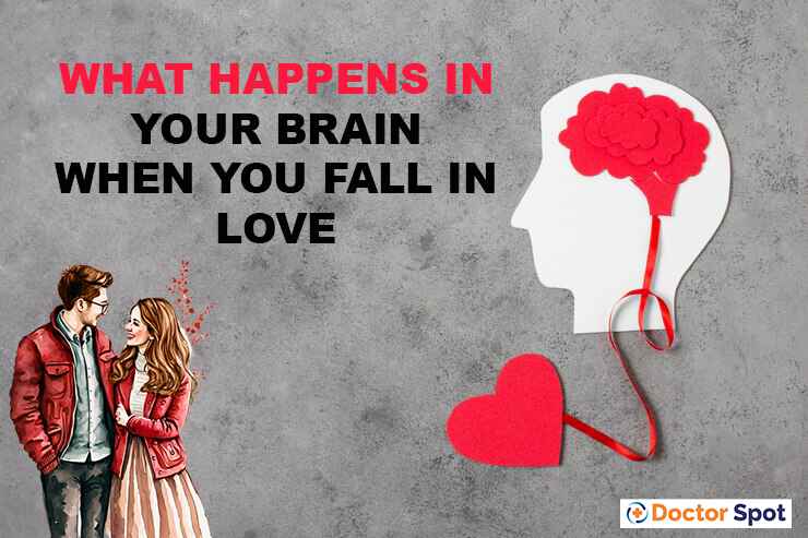 What Happens in Your Brain When You Fall in Love