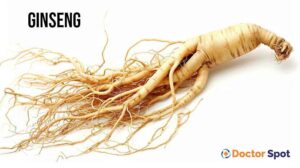 Ginseng Health Benefits