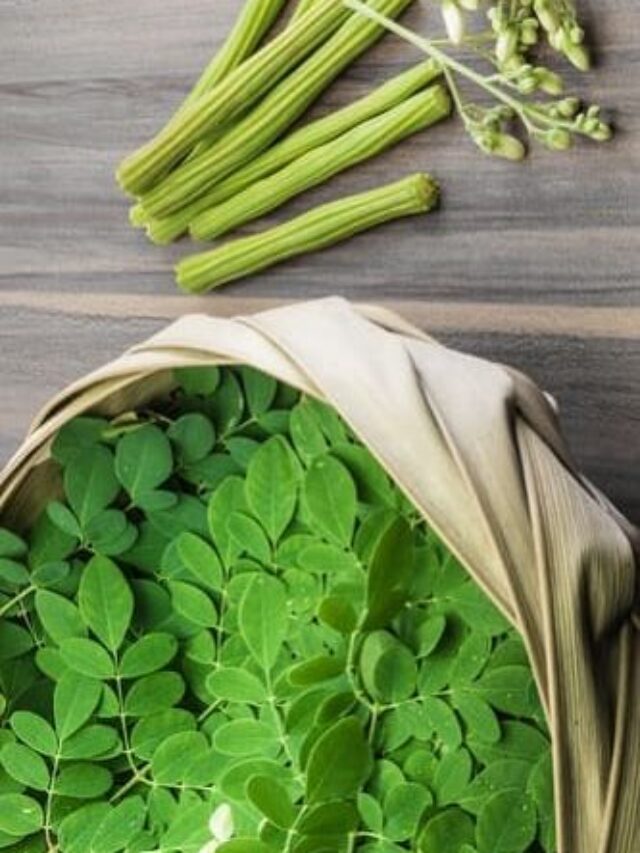 Moringa Leaves – Health Benefits That You Should Know