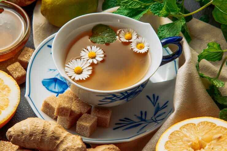 cup-chamomile-tea-with-slices-lemon-ginger-brown-sugar-cubes-green-leaves-saucer-grey-picnic-cloth-