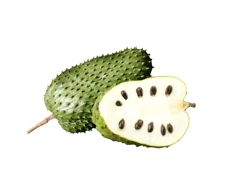 soursop-graviola-health benefits in india