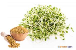 fenugreek seeds sprouts - Methi Sprouts