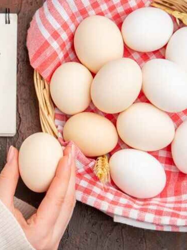 2 Eggs, Countless Benefits: Why You Should Eat Eggs Every Day