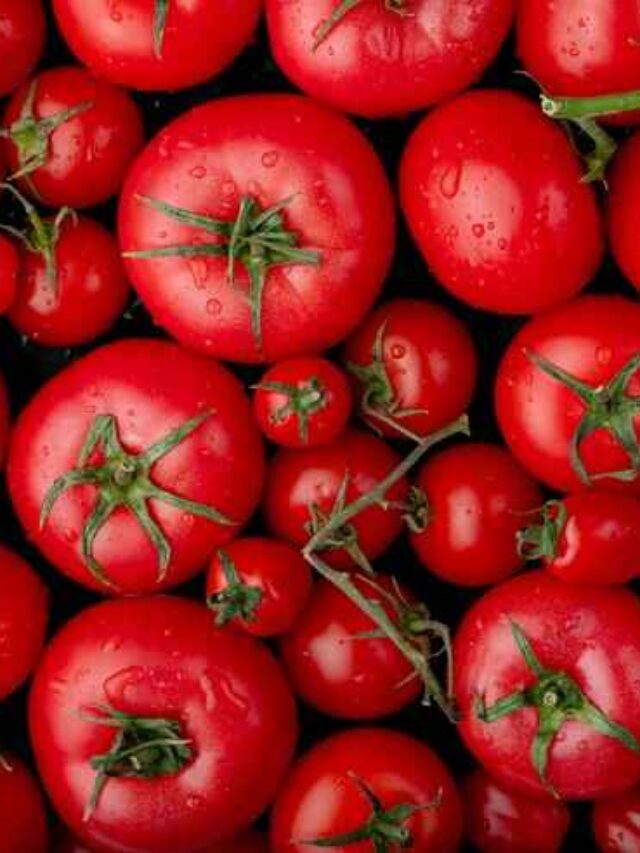 Tomato Amazing Health Benefits: టమాటాలతో అద్భుత ఆరోగ్య ప్రయోజనాలు