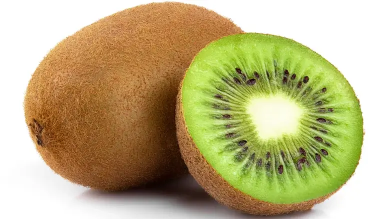 kiwi 1657124522