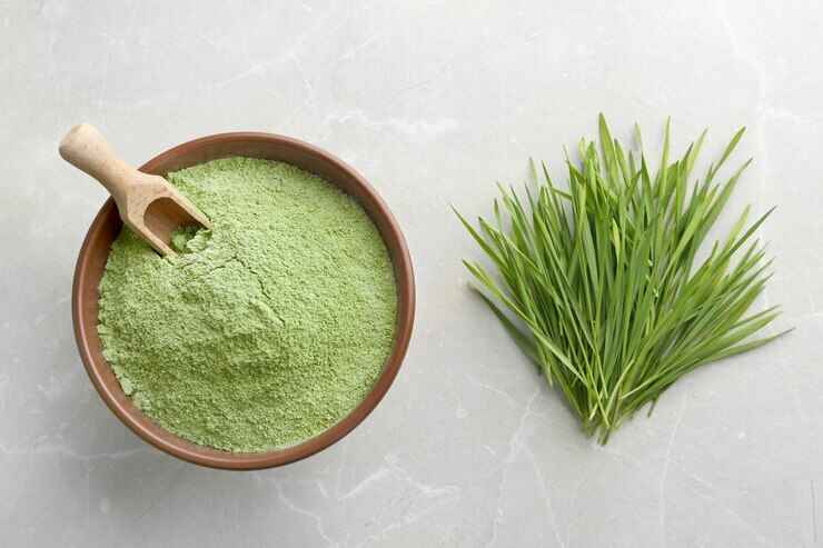 wheat-grass-powder-doctorspot