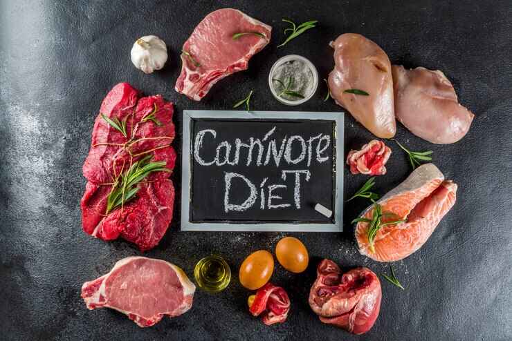 carnivore-protein-diet-doctor spot