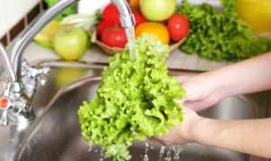Explosive Diarrhoea Parasite Outbreak in the US Could Lettuce or Salad Greens Be the Source -lettuce washing
