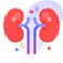 kidney icon doctorspot.in